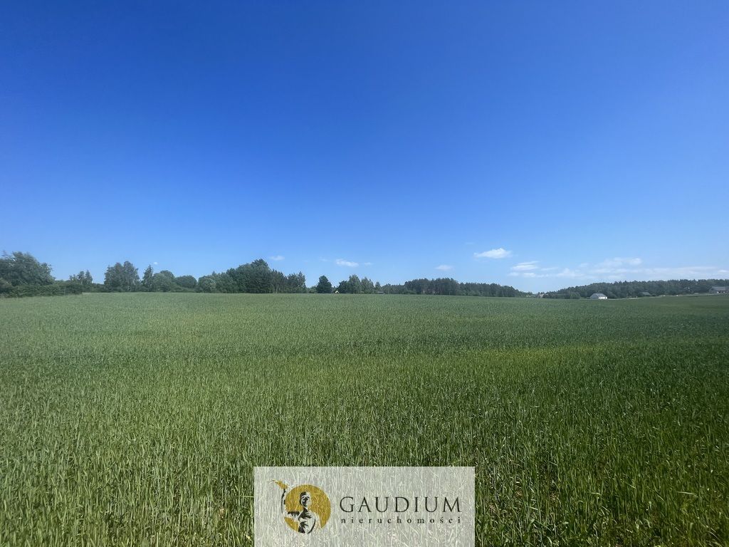 Działka Bielkówko, ul. Studzienna. Zdjęcie 4