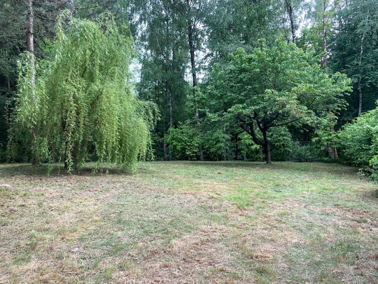 Działka rekreacyjna Pawłówek. Zdjęcie 3