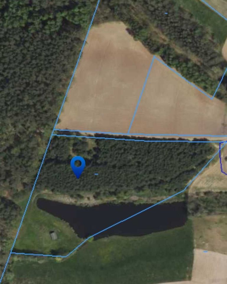 Działka rolno-budowlana Huta-Chojno. Zdjęcie 7