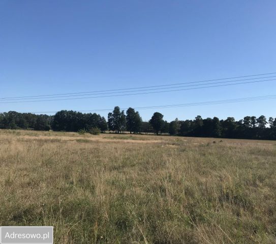 Działka budowlana Myje. Zdjęcie 1