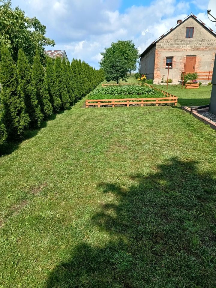 siedlisko Giednia. Zdjęcie 2