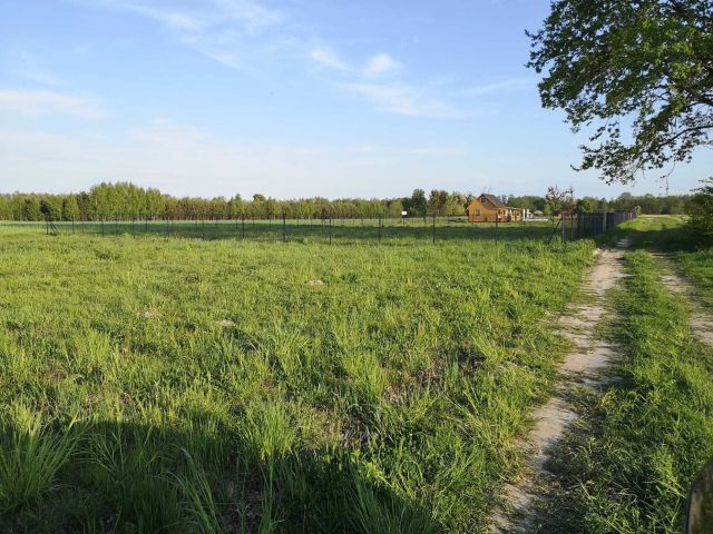 Działka rekreacyjna Grabniak. Zdjęcie 1