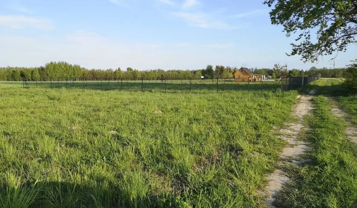 Działka rekreacyjna Grabniak