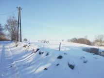 Działka rolna Miłosna. Zdjęcie 1