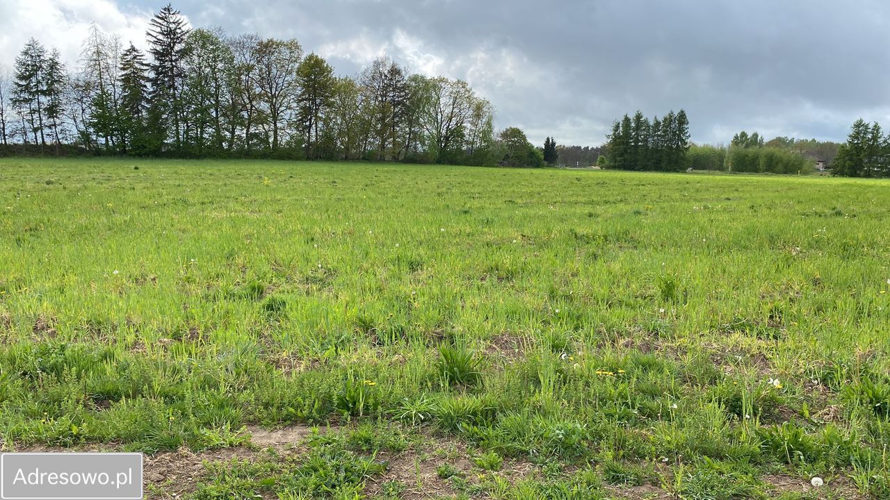 Działka budowlana Włynkówko, ul. Jodłowa. Zdjęcie 4