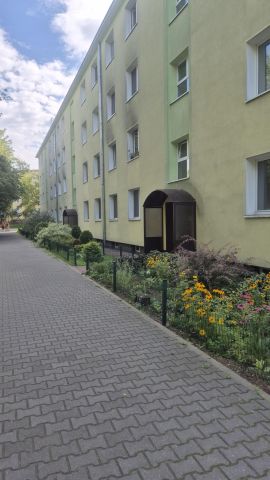 Mieszkanie 1-pokojowe Legionowo Piaski, ul. Piaskowa. Zdjęcie 1