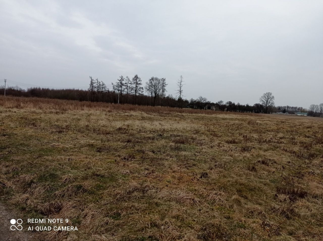 Działka rolno-budowlana Sosnowica. Zdjęcie 2