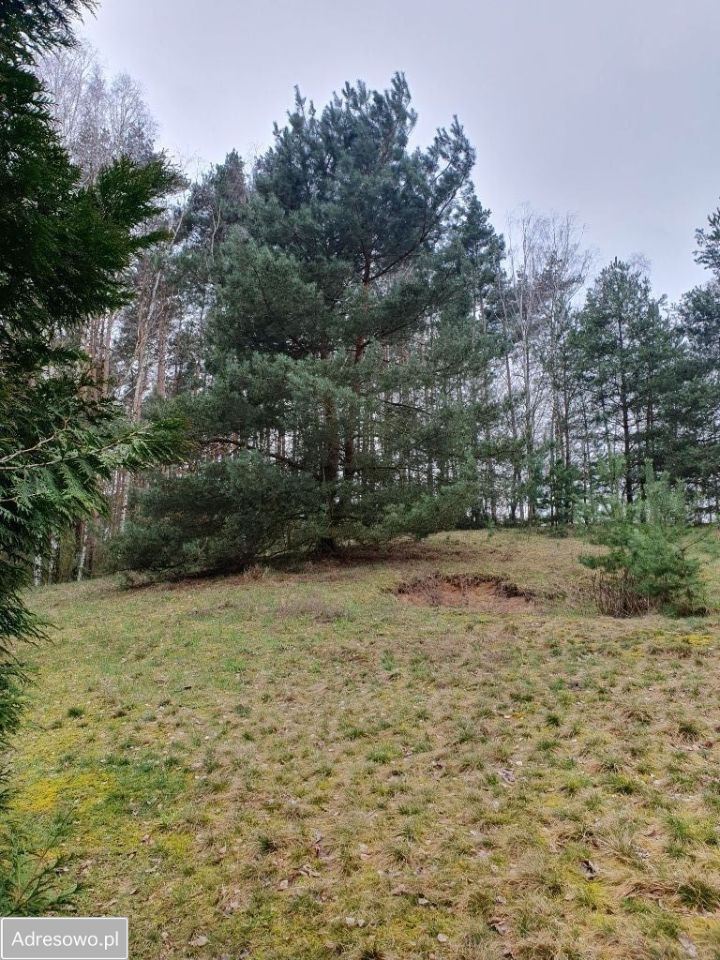 Działka rekreacyjna Karczewko, os. Słoneczny Las. Zdjęcie 1