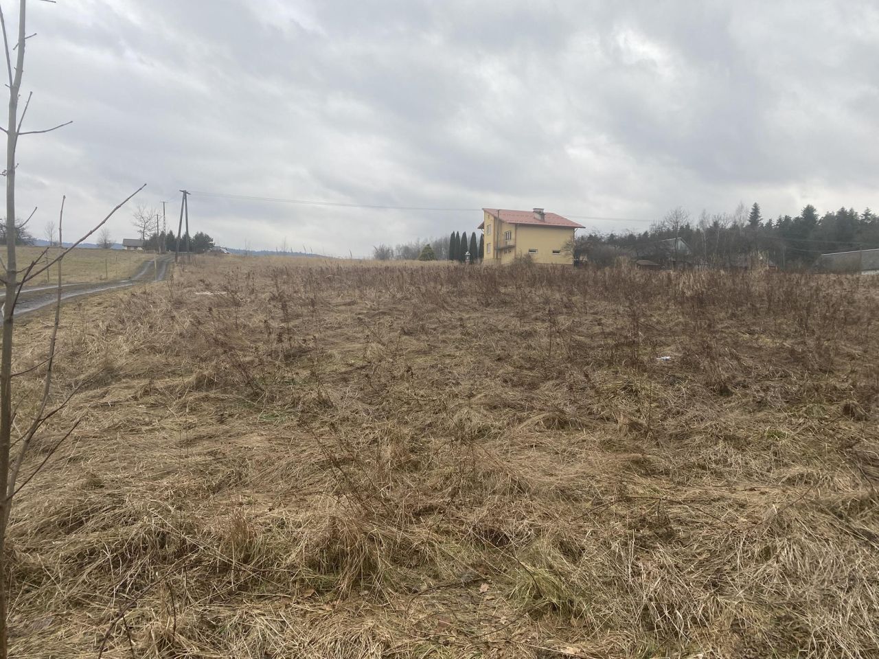 Działka rolno-budowlana Ptaszkowa Zadziele. Zdjęcie 2