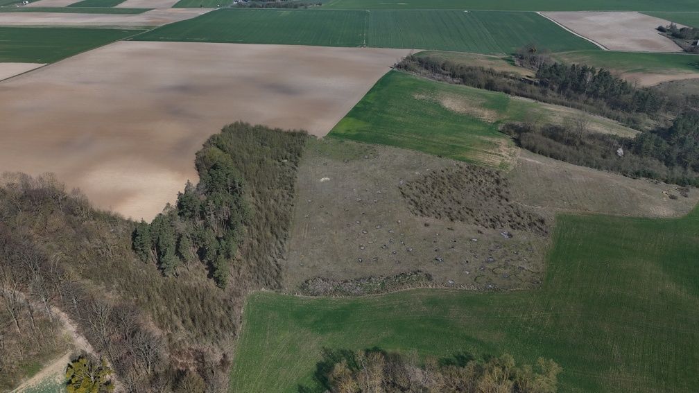 Działka rolna Rybieniec. Zdjęcie 7