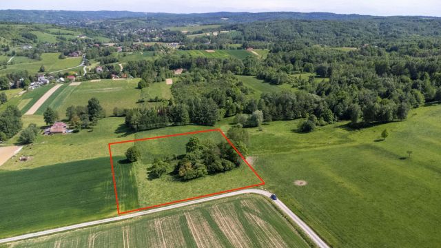 Działka Nowy Borek. Zdjęcie 6