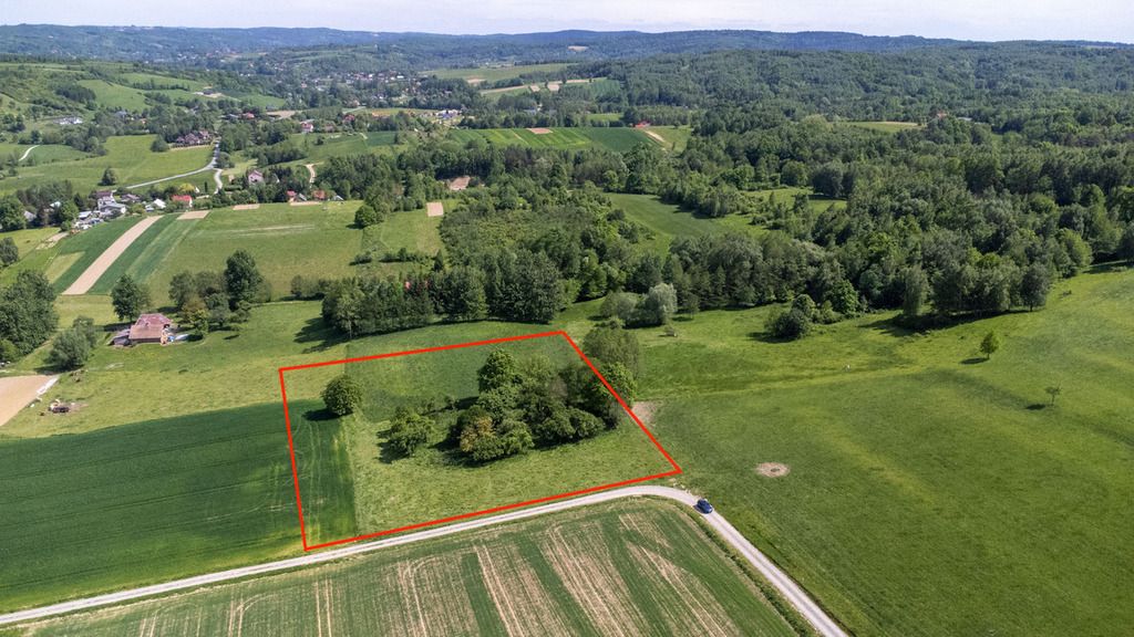 Działka Nowy Borek. Zdjęcie 6