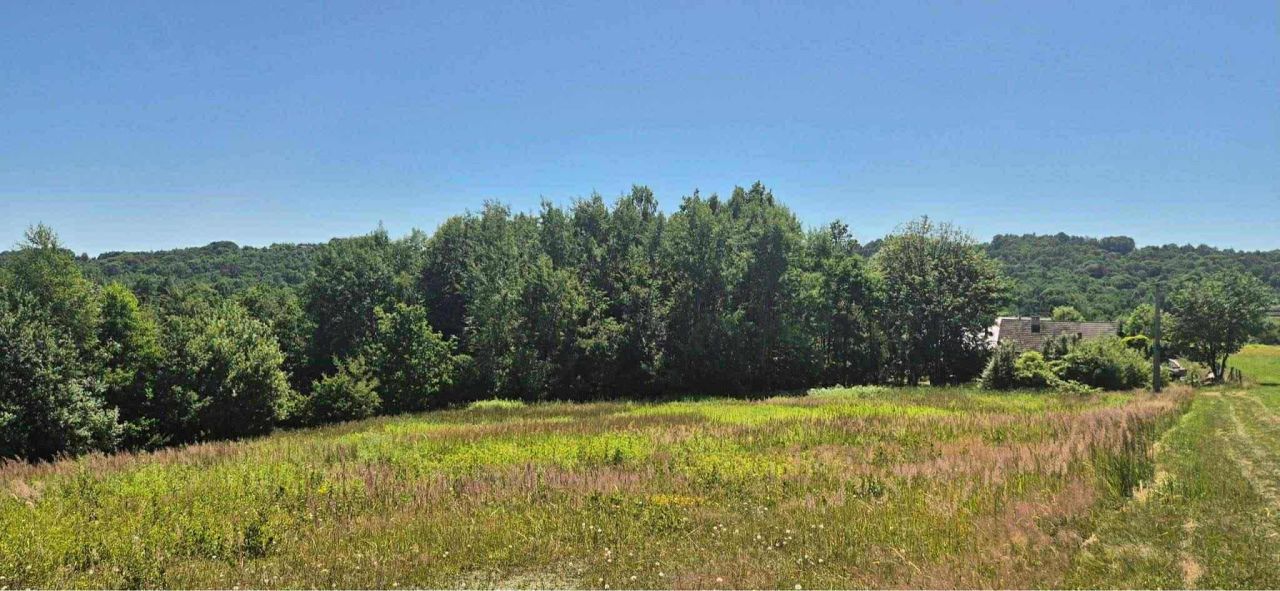 Działka rolno-budowlana Włosań. Zdjęcie 1