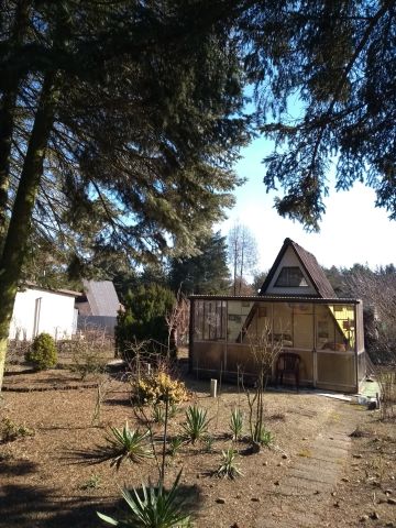 Działka rod Aleksandrów Łódzki, ul. 11 Listopada 117. Zdjęcie 1