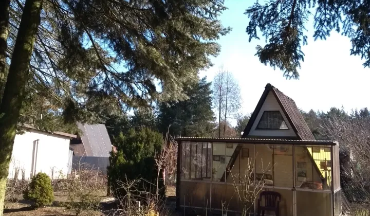 Działka rod Aleksandrów Łódzki, ul. 11 Listopada 117