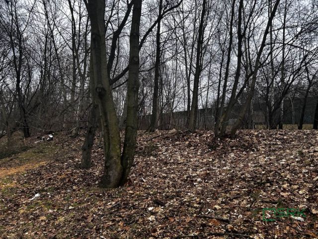 Działka Katowice Bogucice, ul. Bohaterów Monte Cassino. Zdjęcie 2