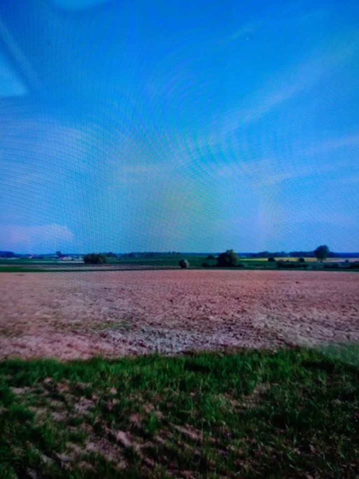 Działka budowlana Bielice. Zdjęcie 1
