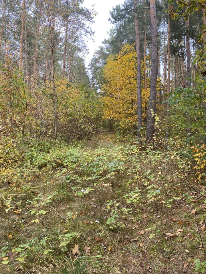 Działka inwestycyjna Osnówka. Zdjęcie 7