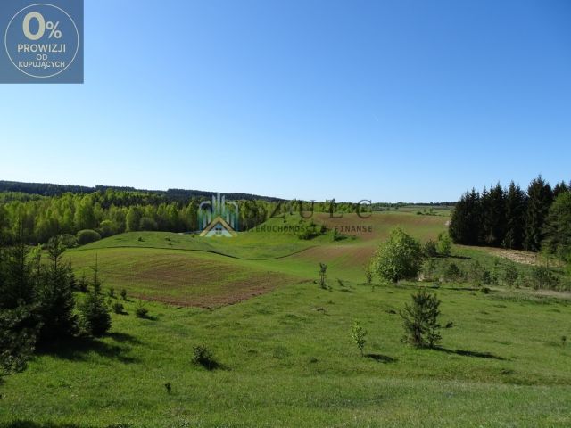 Działka siedliskowa Suwałki. Zdjęcie 10