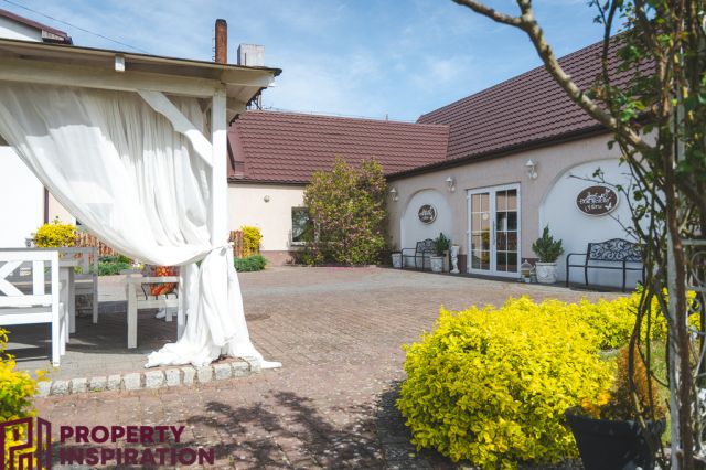 Hotel/pensjonat Krosno Odrzańskie. Zdjęcie 34