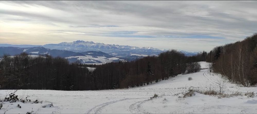 Działka rekreacyjna Grywałd. Zdjęcie 6