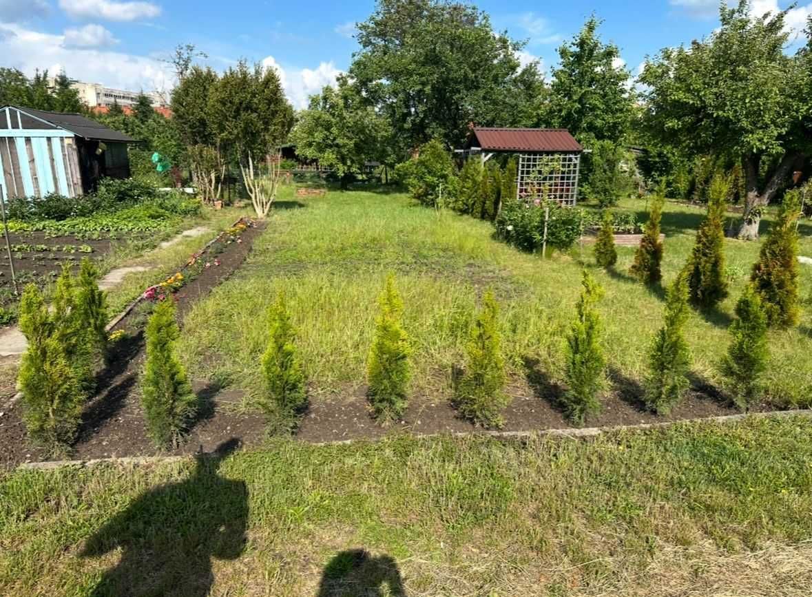 Działka rod Świdnica, ul. Kanonierska. Zdjęcie 2