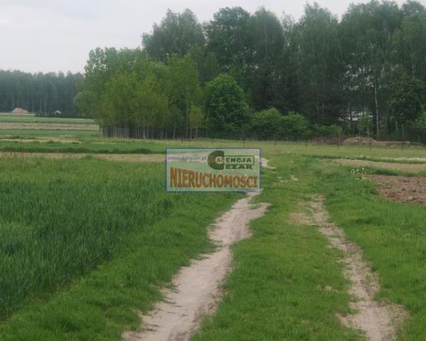 Działka rolno-budowlana Dłużew. Zdjęcie 5