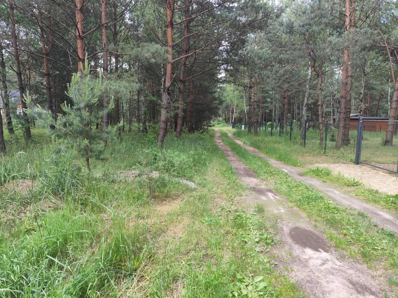 Działka rekreacyjna Ostrowy nad Okszą Zadworze, ul. Oleńki. Zdjęcie 3