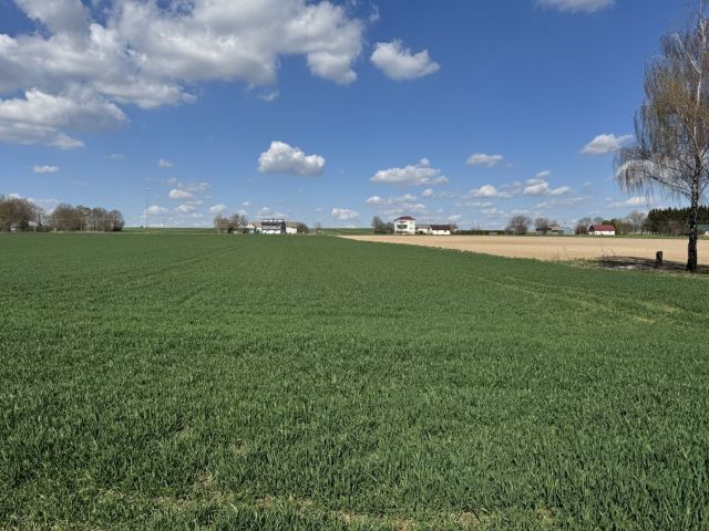 Działka budowlana Czołki. Zdjęcie 1