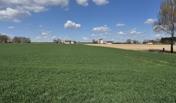 Działka budowlana Czołki