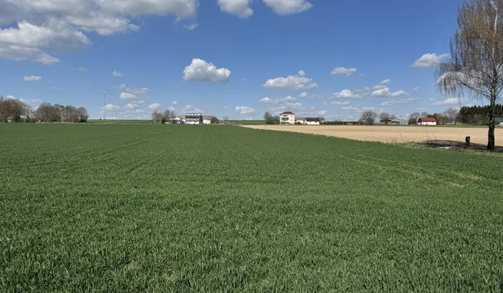 Działka budowlana Czołki