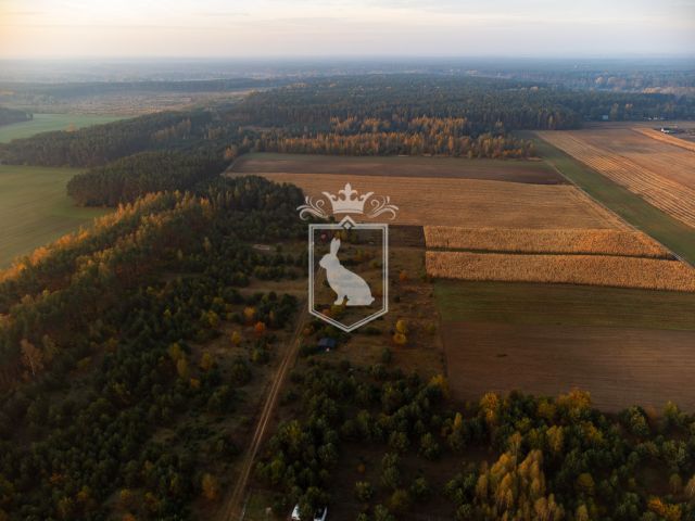 Działka budowlana Gnojno. Zdjęcie 13