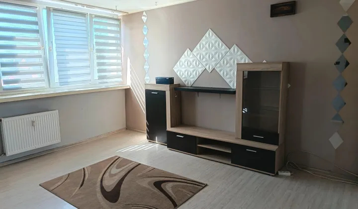 Mieszkanie 1-pokojowe Łódź Dąbrowa, ul. Władysława Strzemińskiego