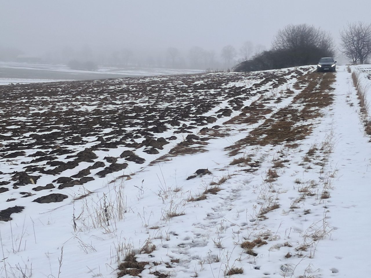 Działka budowlana Górki, ul. Słoneczna. Zdjęcie 11
