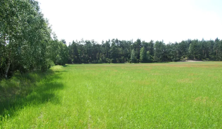 Działka budowlana Sąsieczno Miszek, ul. Adama Mickiewicza