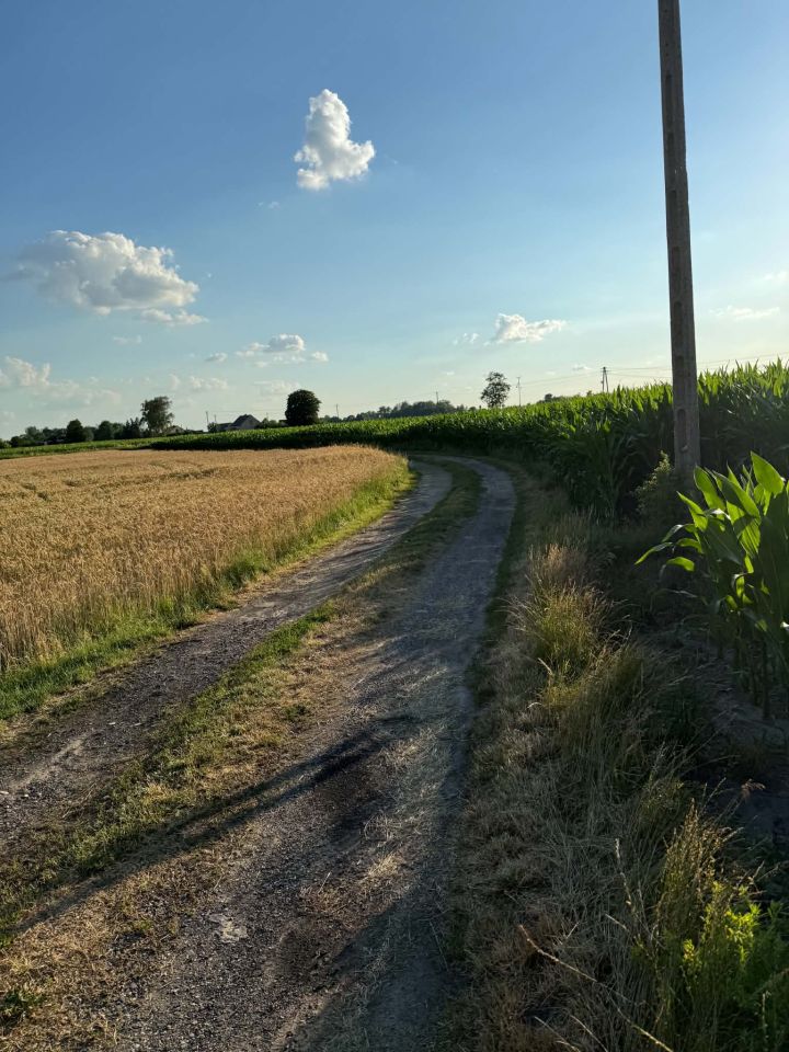 dom wolnostojący, 3 pokoje Wójtówka. Zdjęcie 18