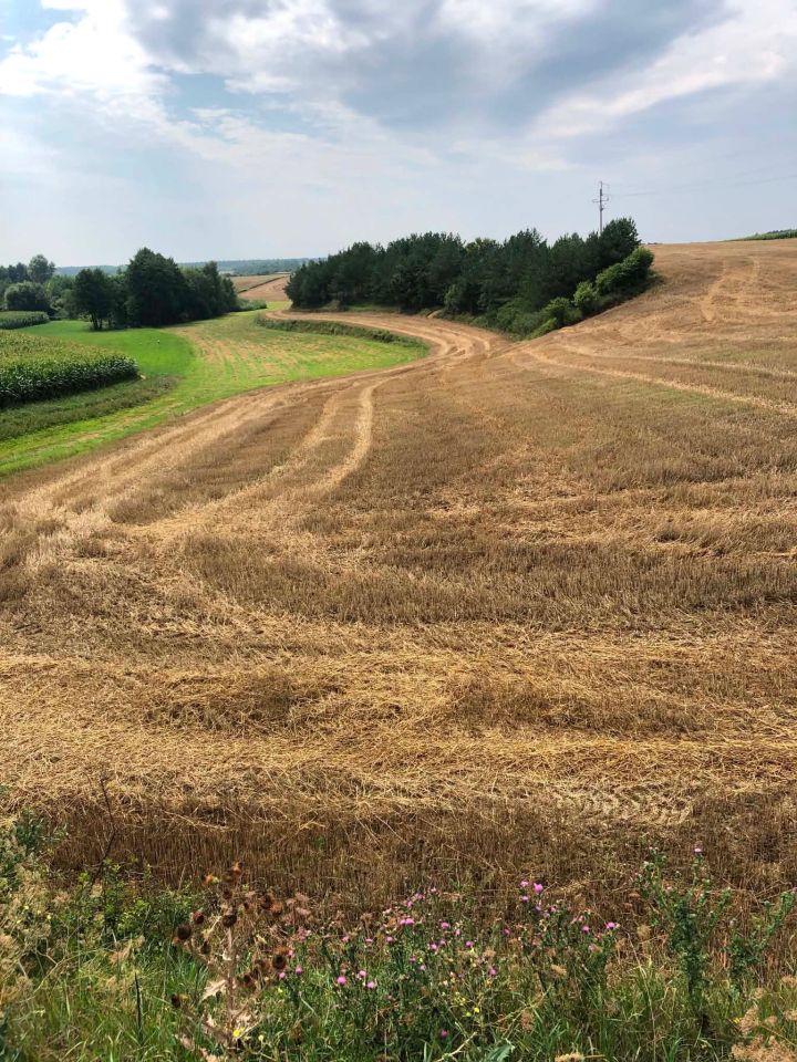 Działka rolna Topólka. Zdjęcie 3