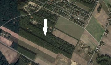 Działka rekreacyjna Adamowo