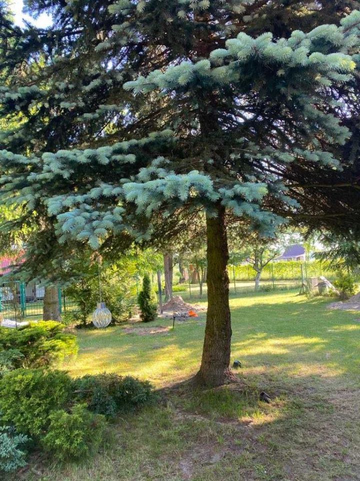 Działka rekreacyjna Grabniak. Zdjęcie 3