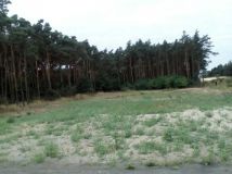 Działka siedliskowa Ostrów Kaliski. Zdjęcie 3