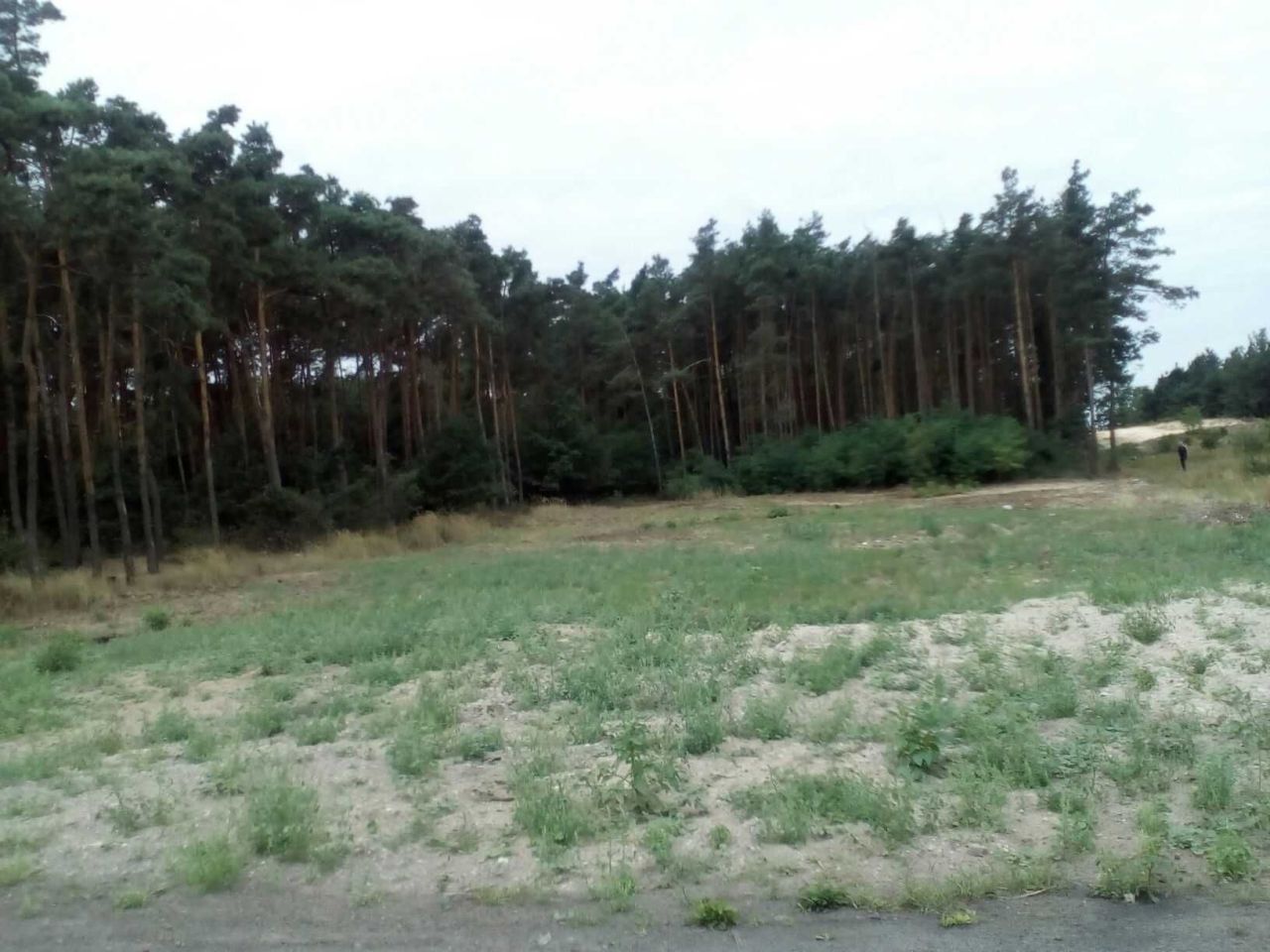 Działka siedliskowa Ostrów Kaliski. Zdjęcie 4