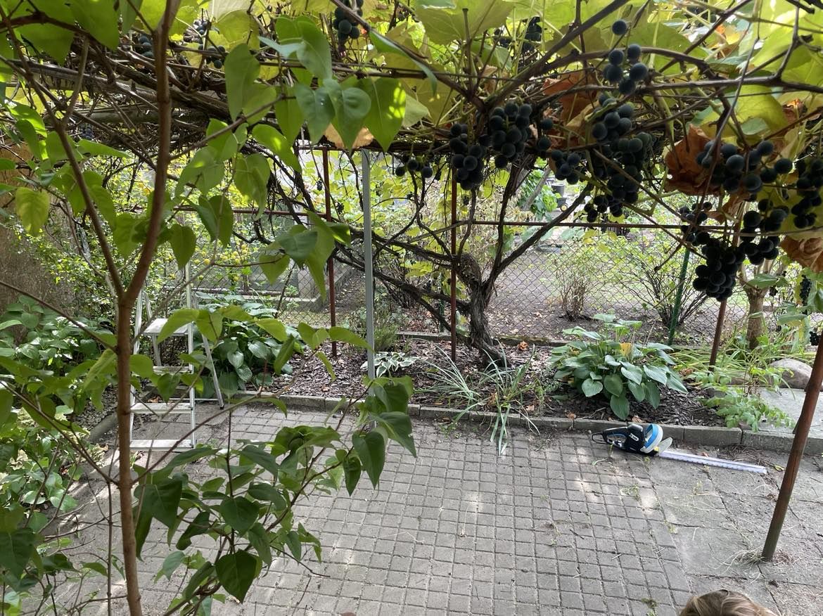 Działka rod Łódź Górna, ul. Pustynna. Zdjęcie 6