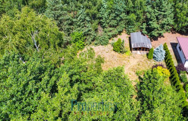 Działka budowlana Zwola Poduchowna. Zdjęcie 10