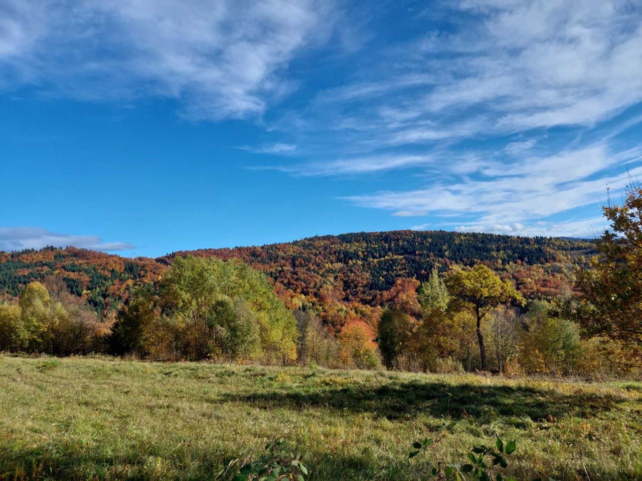 Działka rekreacyjna Pcim