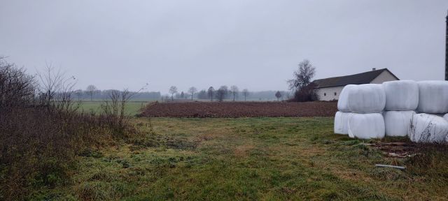 Działka rolna Olki. Zdjęcie 1