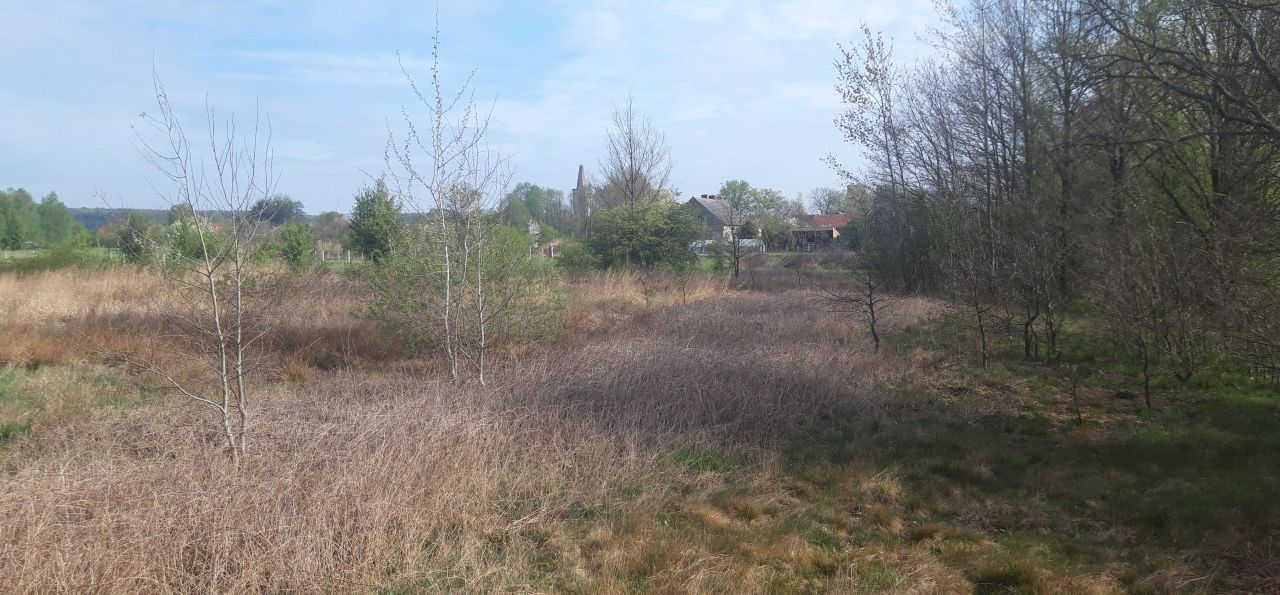 Działka rolno-budowlana Koźla. Zdjęcie 4