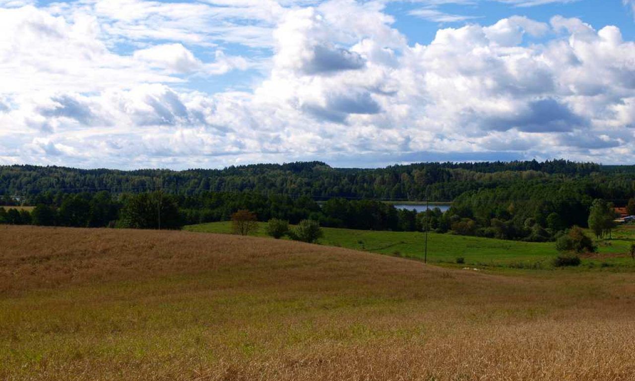 Działka rolna Ramsowo. Zdjęcie 4