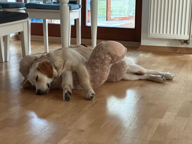 dom wolnostojący, 4 pokoje Chwaszczyno, ul. Kawelska. Zdjęcie 1