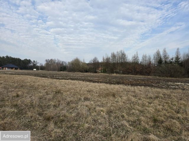 Działka rekreacyjna Komorów. Zdjęcie 1