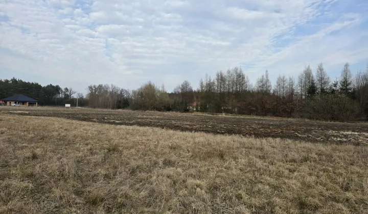 Działka rekreacyjna Komorów